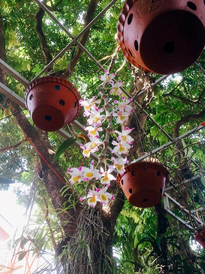 Homestay Vuon Nhan Pleiku Exterior photo